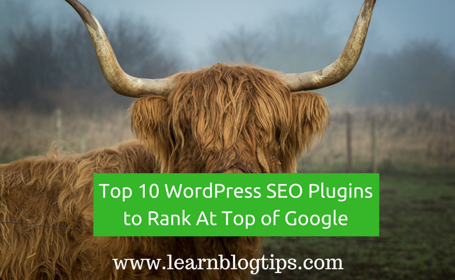 best SEO plugins for WordPress
